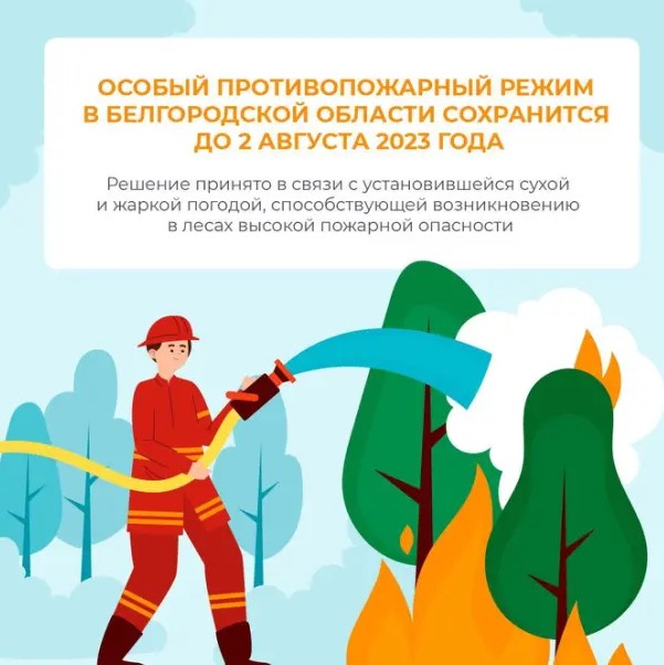 Власти Белгородской области приняли решение о продлении особого противопожарного режима на территории региона до 2 августа.