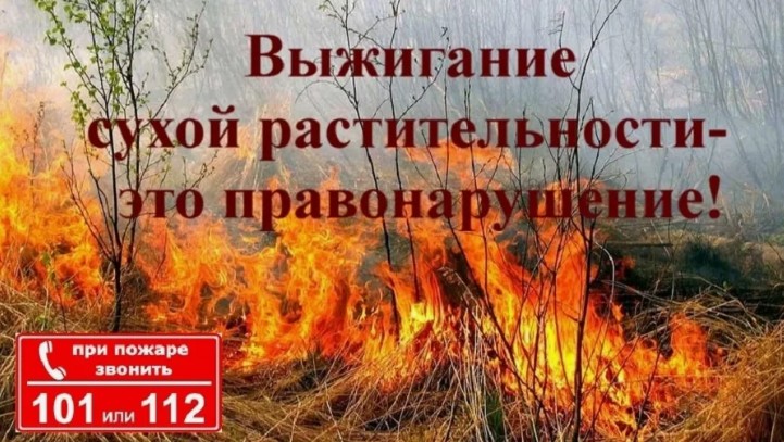 РСЧС:  В связи с увеличением ландшафтных пожаров напоминаем о запрете выжигания сухой травянистой растительности. Нарушителям грозит штраф от 5 до 15 тысяч рублей..