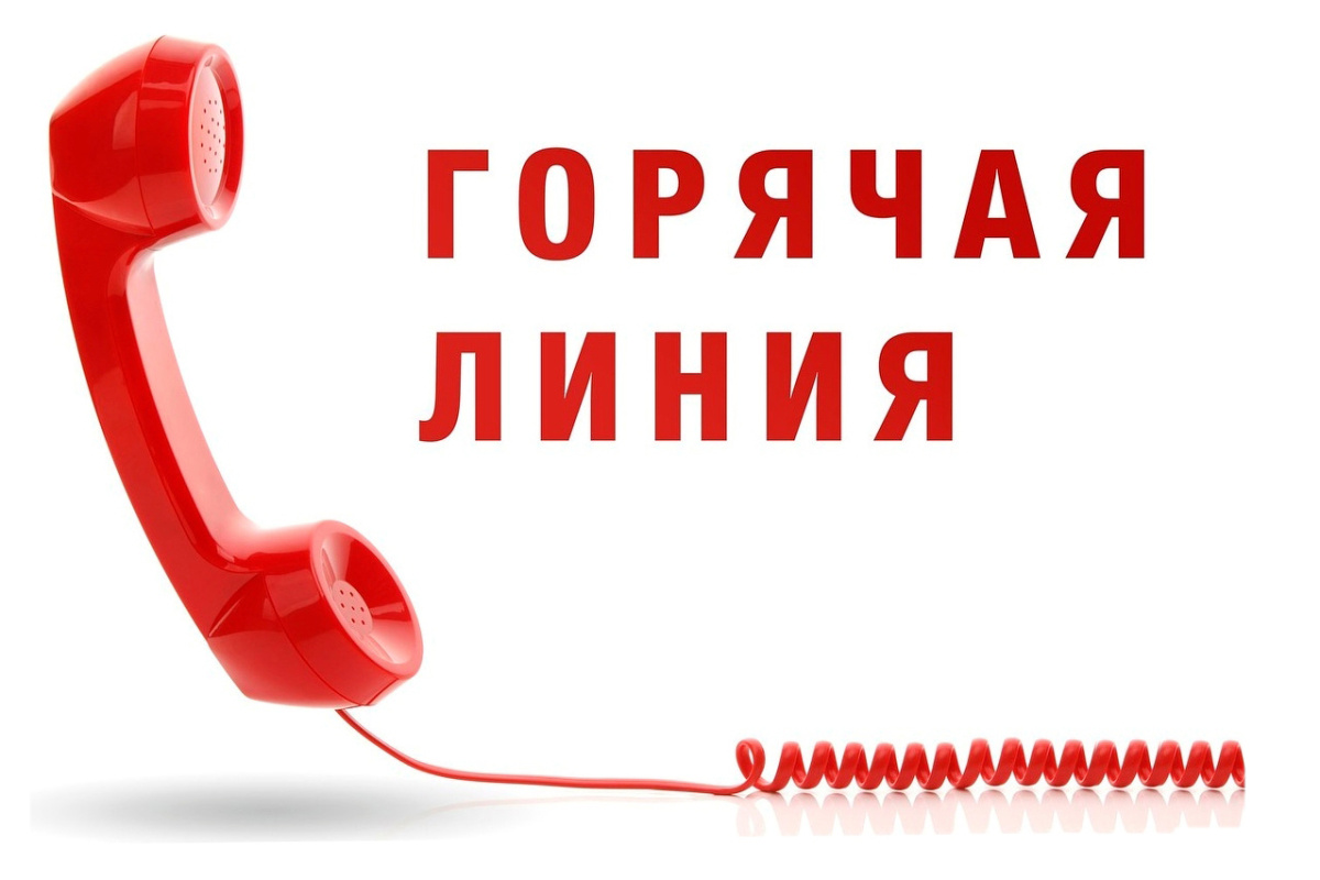 «Горячая телефонная линия».