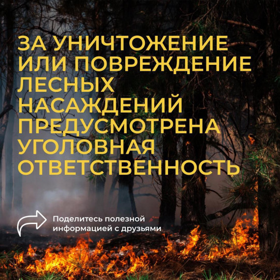 Белгородцы могут получить штраф до 50 тыс. рублей за нарушение особого противопожарного режима.